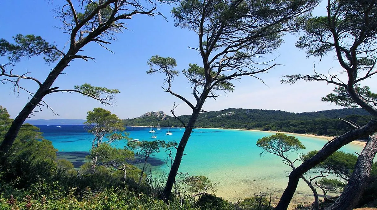 T3 - 5Pers - Proche Toutes Commodites - Quartier Recherche - Court Et Long Sejour - Cosy - Lumineux - Fonctionnel 툴롱